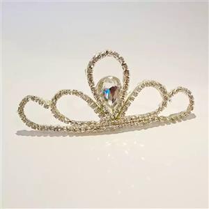 نیم تاج پرنسسی