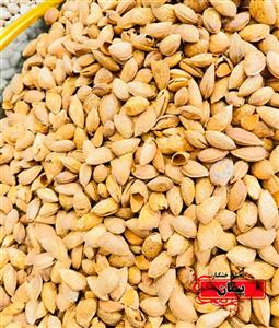 بادام کوهی خام شیراز روستایی - ۱۰۰ گرم