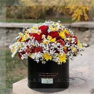 دسته گل 5 شاخه‌ای ژیپسوفیلا کوچک صورتی