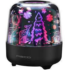 اسپیکر با قابلیت اتصال بیسیم رسی مدل RSK-W20