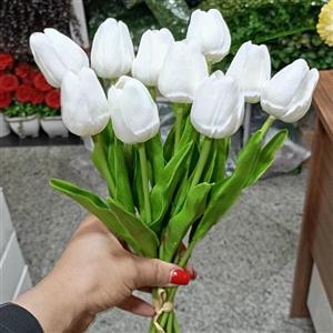 گل مصنوعی دسته گل لاله فومی بدون تغییررنگ سفیدوکالباسی وارداتی دارای 10شاخه ارتفاع33سانت قیمت هر10شاخه درج شده است