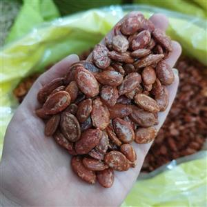 تخمه ژاپنی جابانی لوکس تازه پرمغز ( 250گرمی)