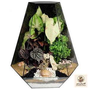 تراریوم مدل رویال سرکج  کد 01