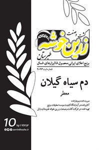 برنج دم سیاه گیلان زرین خوشه طبرستان - 10 کیلوگرم