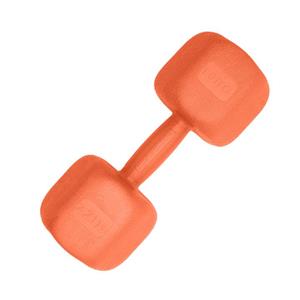 دمبل رادیس فیت مدل RPHF-10000 One Handle وزن 10 کیلوگرم