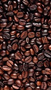 فول کرما (100روبستا)