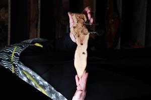 جاکلیدی چوبی دیواری تیردادوود