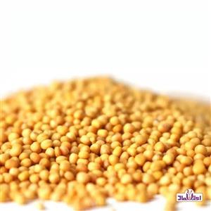 خردل دانه زرد اعلا 100 گرمی اعتماد(دانه خردل ناساب) 