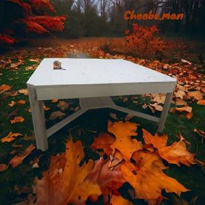 کرسی چوبی بزرگ با جای بخاری 100 در 100