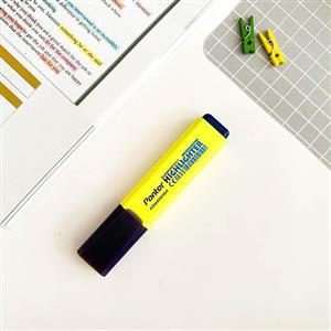 علامت زن پنتر