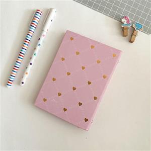 دفترچه کلاسوری 6حلقه سلفونی راوی نت