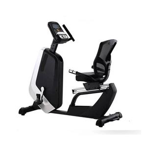 دوچرخه ثابت پشتی دار باشگاهی پروفیتنس 87017R