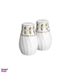 نمکدان گلدکیش طرح رویسا کد GK701103-2 بسته 2 عددی