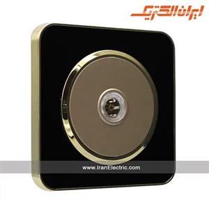 پریز آنتن TV اسپیناس طلایی زه مشکی میان بژ