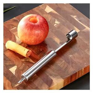 هسته گیر شنگیا مدل سیب استیل کد K0903Q