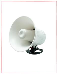 بلندگو دزدگیری