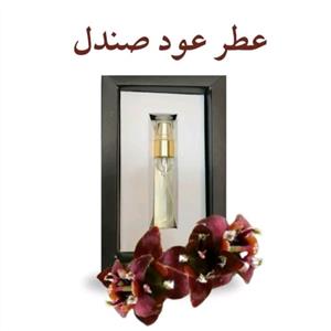 عطر عود صندل (5 گرمی) مجموعه حکیم خیراندیش 