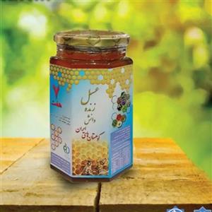 عسل زنده دانش هفت ستاره کوهستان های ایران  روازاده صد در صد طبیعی