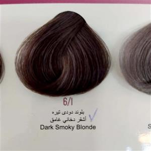 رنگ مو انزو سری دودی .بلوند دودی تیره 6.1