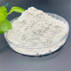 تالک جهت فیلر و پرکننده انواع شوینده تالک افغان (کد 5012)