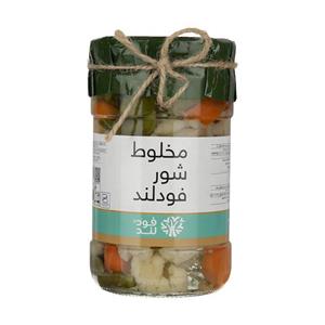 مخلوط شور فودلند مقدار 670 گرم Foodland Salty Pickel gr 