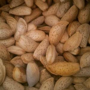 بادام درختی ارگانیک تویسرکان- 1 کیلوگرم