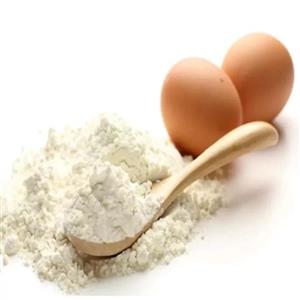 پودر سفیده تخم مرغ خالص اعلا (80 گرمی)