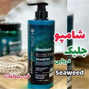 شامپو جلبک دریایی فری سولفات 900میلseaweed