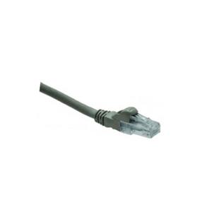 پچ کورد 3 متری Schneider مدل DC6PCSRJ03GY