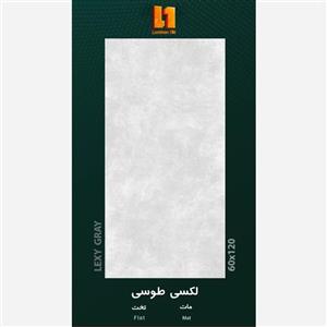 سرامیک اسلب 60120 لکسی طوسی 