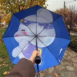 چتر فانتزی کاور دار
