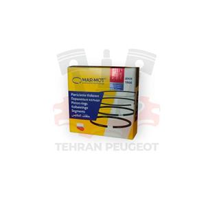 رینگ موتور تیبا 0/50 مارموت