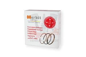 رینگ موتور Herbit 405