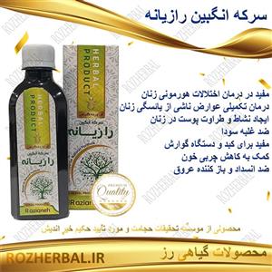 سرکه انگبین رازیانه 200 میلی لیتر دکتر خیر اندیش