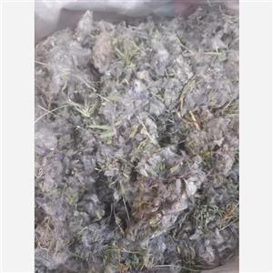 چای کوهی امسالی(پشمینه یا توکلیجه)بسیار مفید برای تقویت سیستم ایمنی 100گرمی