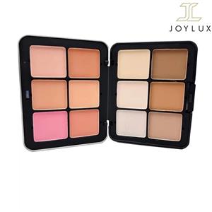 پالت پودری کانتور و رژگونه 12 رنگ آرت اسکین