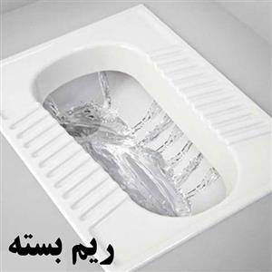 توالت زمینی گلسار مدل یاس ۲۱ ریم بسته
