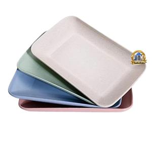 بشقاب غذای نی گندم efoot