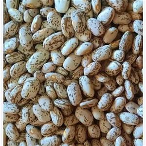 چیتی ارتشی . کنسروی خوش مزه بیست  کیلویی 