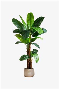 درختچه مصنوعی موز سه تنه 2.3 متری