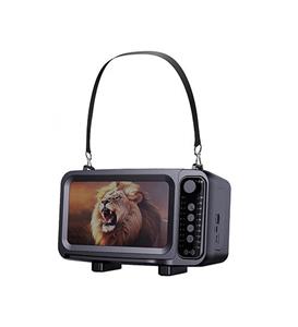 47817  رادیو اسپیکر چراغدار