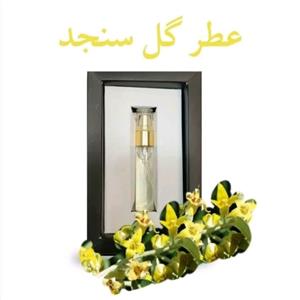 عطر حکیم ۱۰ میل صفرا شماره ۵