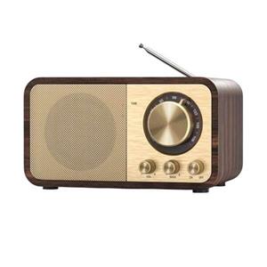 رادیو اسپیکر FM مدل JY-66 دارای پورت USB