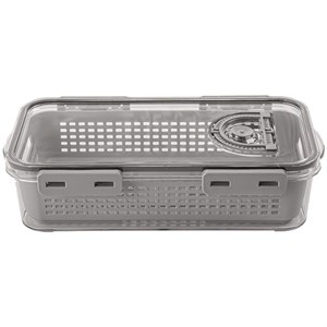 ظرف نگهدارنده لیمون مدل تاریخ دار کد DH2377