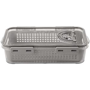 ظرف نگهدارنده لیمون مدل تاریخ دار کد DH2377