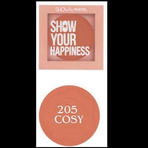 رژگونه پودری برند PASTEL مدل HAPPINESS شماره 205