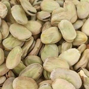 باقاله،باقالی،باقالا امساله وباکیفیت عالی وخوش پخت