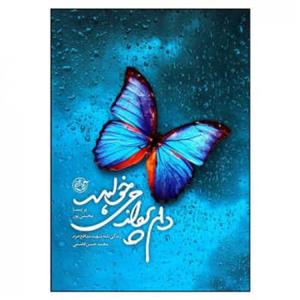کتاب دلم پرواز میخواهد