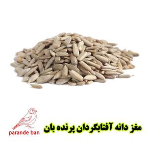 مغز تخم آفتابگردان برای پرندگان زینتی | تقویت‌کننده طبیعی و غنی از ویتامین E