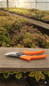 قیچی باغبانی پک ۱۰ عددی هرس با تیغه های تیز و محکم دسته های پلاستیکی با کیفیت - عمده